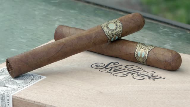 Warped Flor Del Valle Skyflower Review Panel