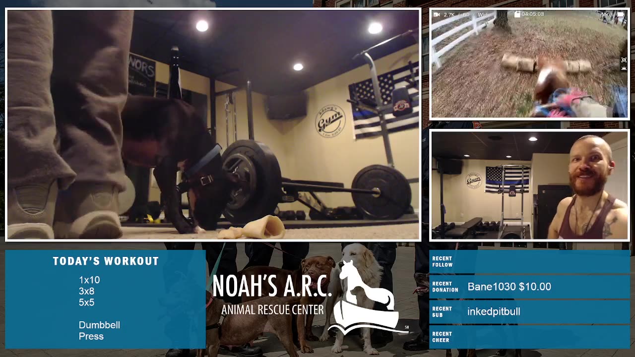 Deadlifts w/Doggo & Dufus [Week 10] // Animal Rescue Stream :)