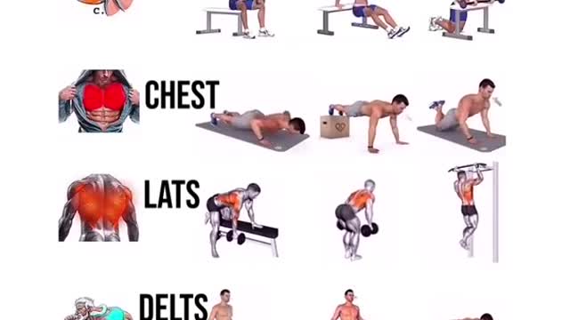 Full body workout