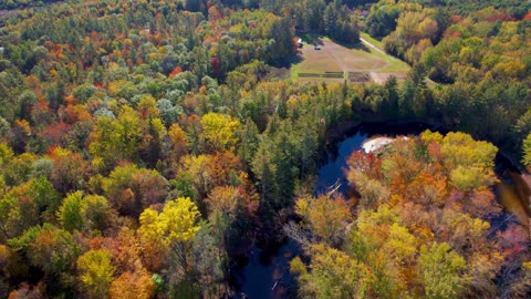 Drone Fall Forest