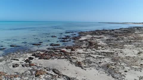 World Class Attractions in Shark Bay