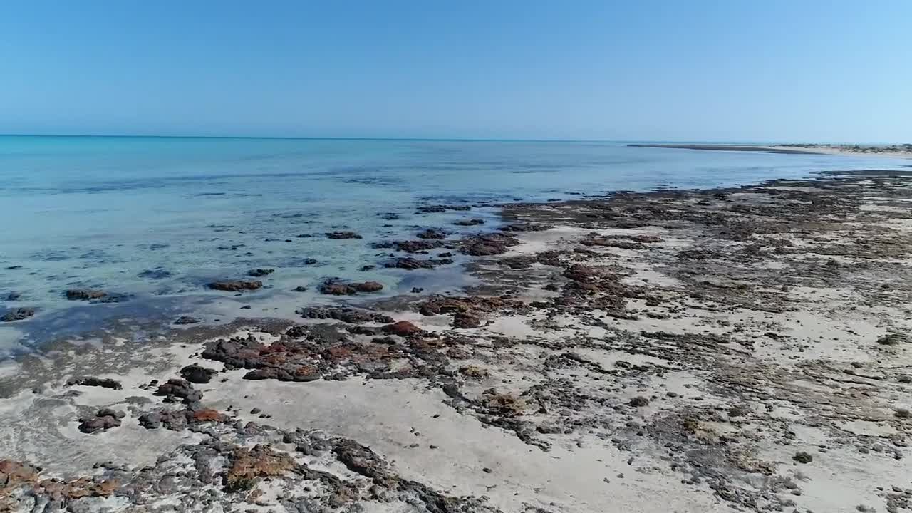 World Class Attractions in Shark Bay