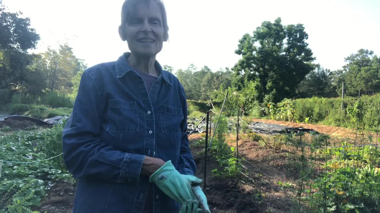 Garden update September 5, 2021