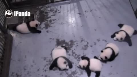 Ahhhhhh...........choooo ! (Testing This Video)