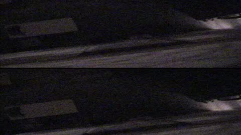 4002BGCO01WestHall_2021-01-05_03h20min01s230ms.mp4