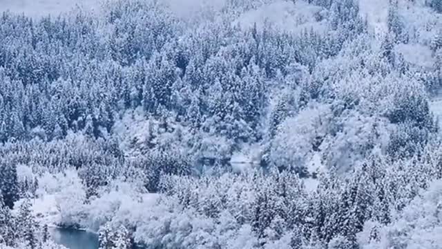 Is it snowing in your place? The scenery of the healing system is covered in silver.