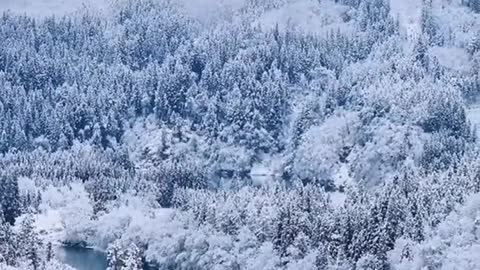 Is it snowing in your place? The scenery of the healing system is covered in silver.