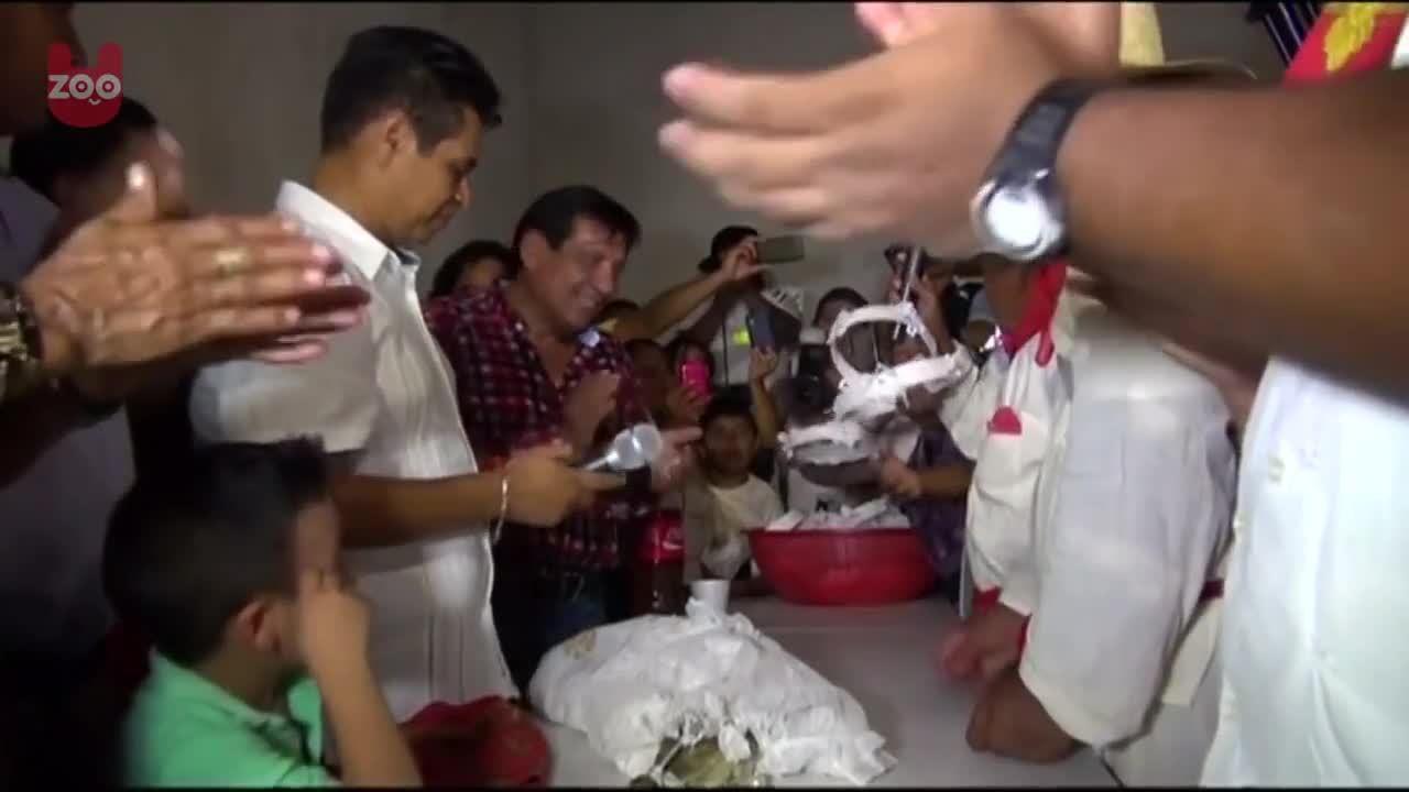 Mayor Marries Crocodile in Mexico