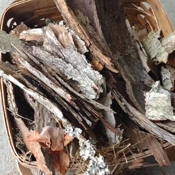 Stop Buying Wood Chips 🤠🪵