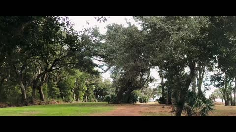 Edisto Quick Trip