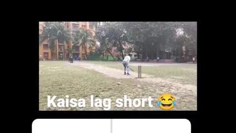 Cricket lover