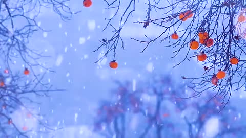 The snow is flying all