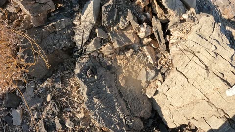 Shadow Mountain - Peak 2, Pahrump, NV 89060 - 20240924GX010009