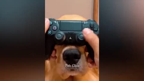 Funny
