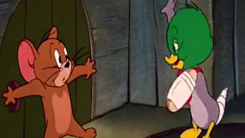 Tom and Jerry cartoon