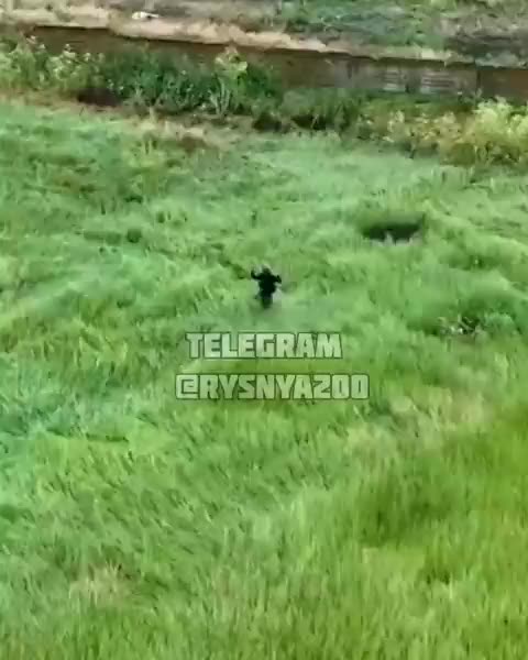 The occupier decided to surrender & stepped on his own mine and blew up.