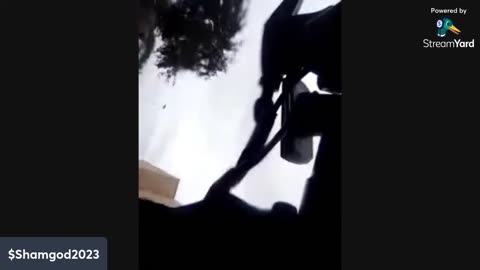 The Bat Been Spotted