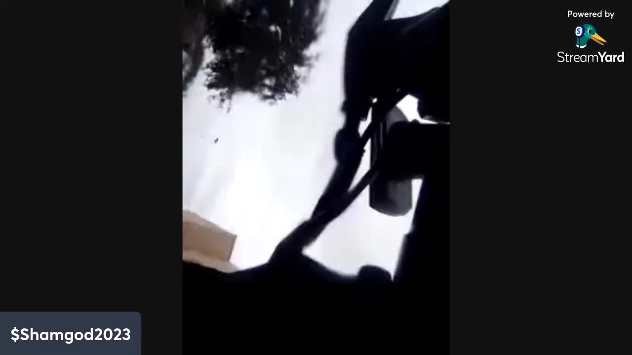 The Bat Been Spotted