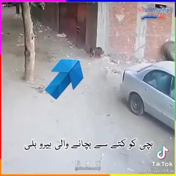 CAT SAVE CHILD FROM DOG