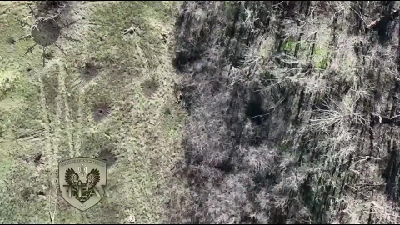 Ukrainian military destroys Russian soldiers with a drone