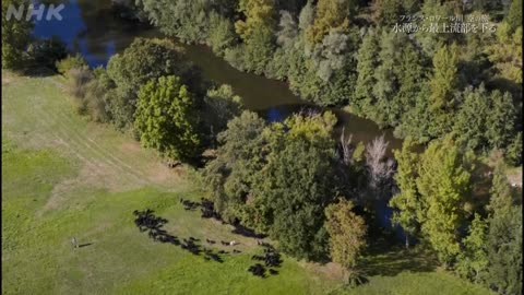 空からクルージングmini・5分版- フランス・ロワール川 空の旅 「水源から最上流部を下る」