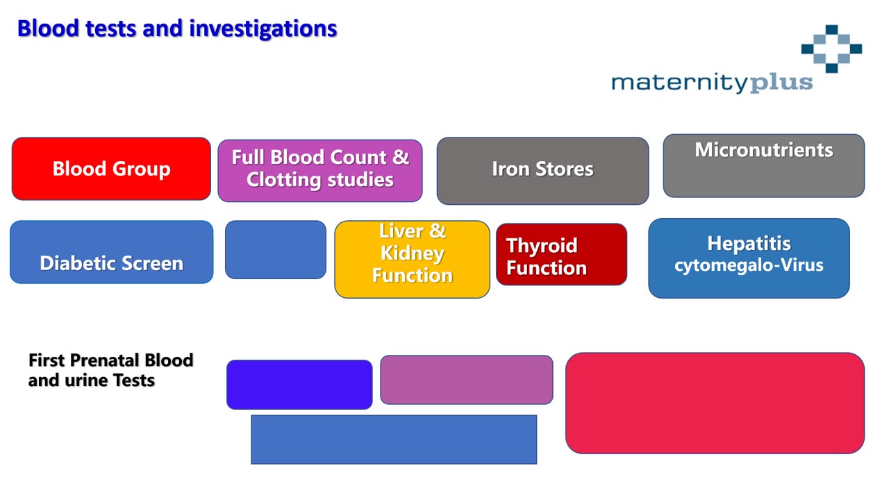 1. Blood Tests