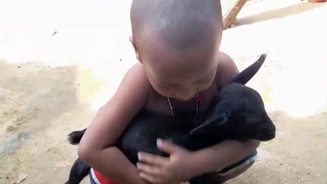 GREAT LOVE TO GOAT KIDS