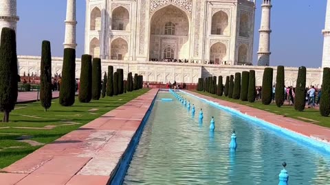 The TAJ