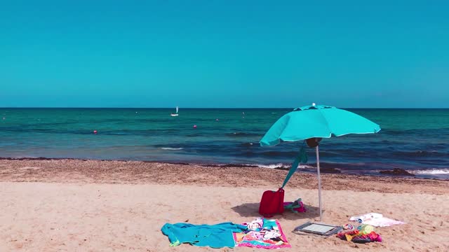 Holiday Time on the Seashore