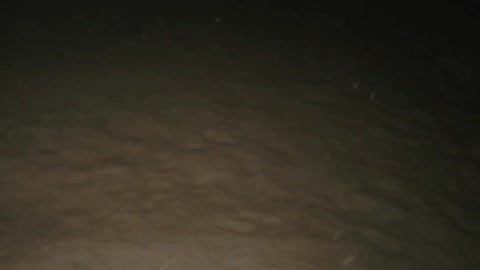 Night Time Snow In Slo Mo