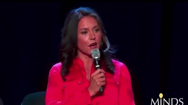 Tulsi Gabbard DRAGS mainstream media propaganda, leftist machine