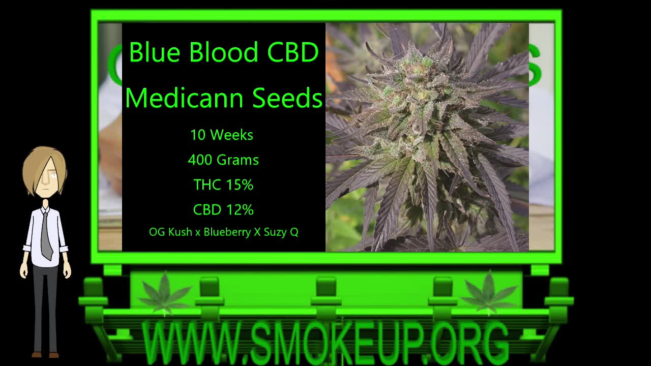 CBD Cannabis Strains - Medical Strain Series - STRAIN TV (2022)