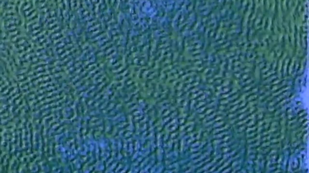 Talking Heads - Once in a Lifetime (Official Video)