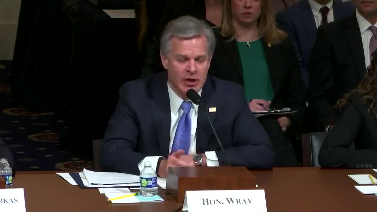 Chris Wray Gets Wrecked Over Question on 'FBI Informants Dressed as Trump Supporters'