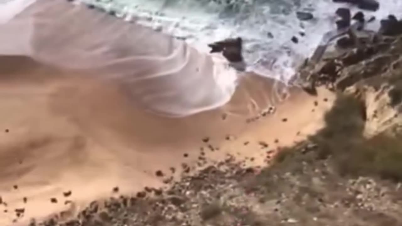Parachute failure 🙀
