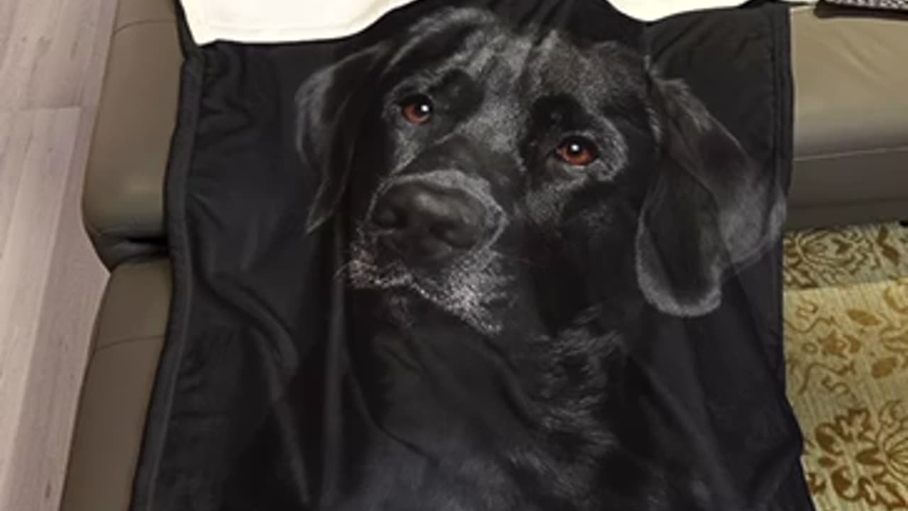 HommomH Black Lab Blanket, Gorgeous Labrador Dog Print, Soft Fluffy Fleece Throw 50"x80"