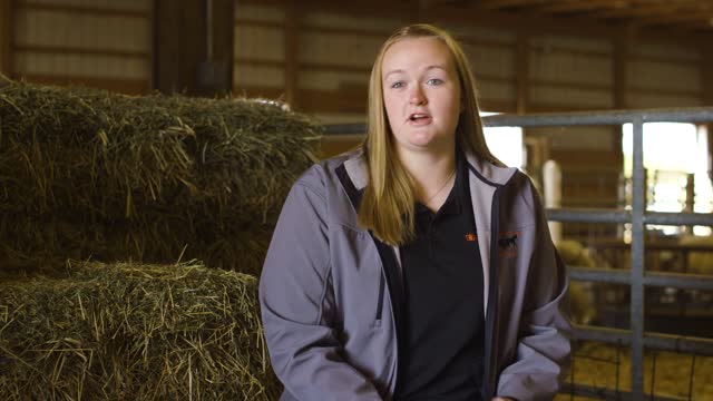 Animal Science – Industry Kenley Rogers