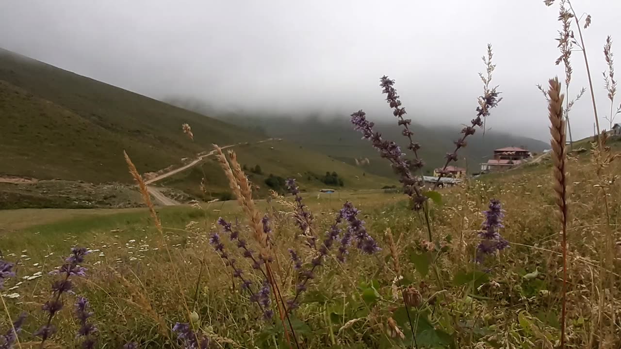 VIEWS FROM THE PLATEAU-44