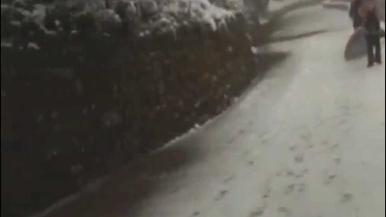 Snowfall Video