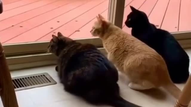 Watch the moment and get ready