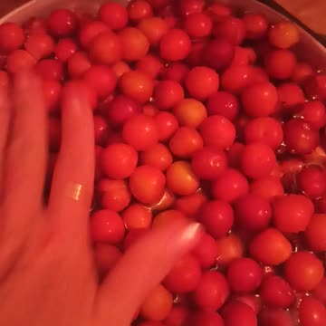 Quick washing of cherry plums