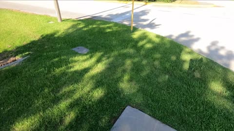 Walking The Cross 6/2/2022