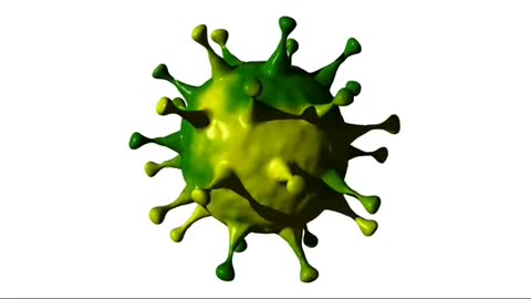 There Are No Viruses