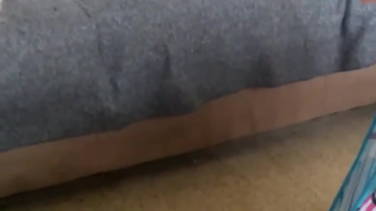 4 felices por los cuatro