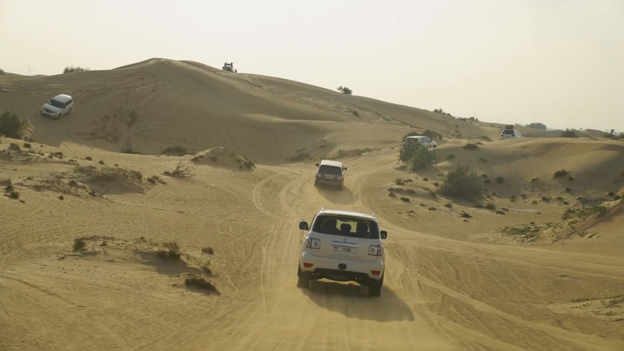 A view of the desert and camels walking and off-road driving in the desert