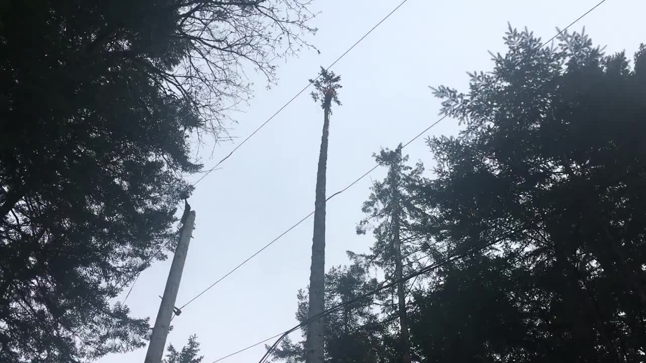 Small top three times the power line height double flip