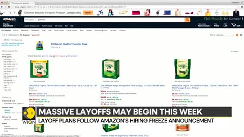 Report_ Amazon plans to lay off 10,000 people _ Latest World News _ English News _ WION