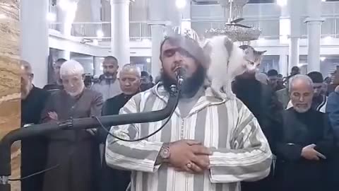 شوفوا يا اخوان كيف تعامل الشيخ الجزائري مع القط؟ وهذا هو من طبع ديننا الحنيف.