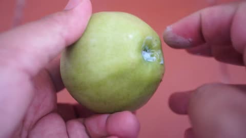 how to grow apple tree