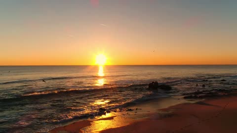 The coast and the seagulls at sunset